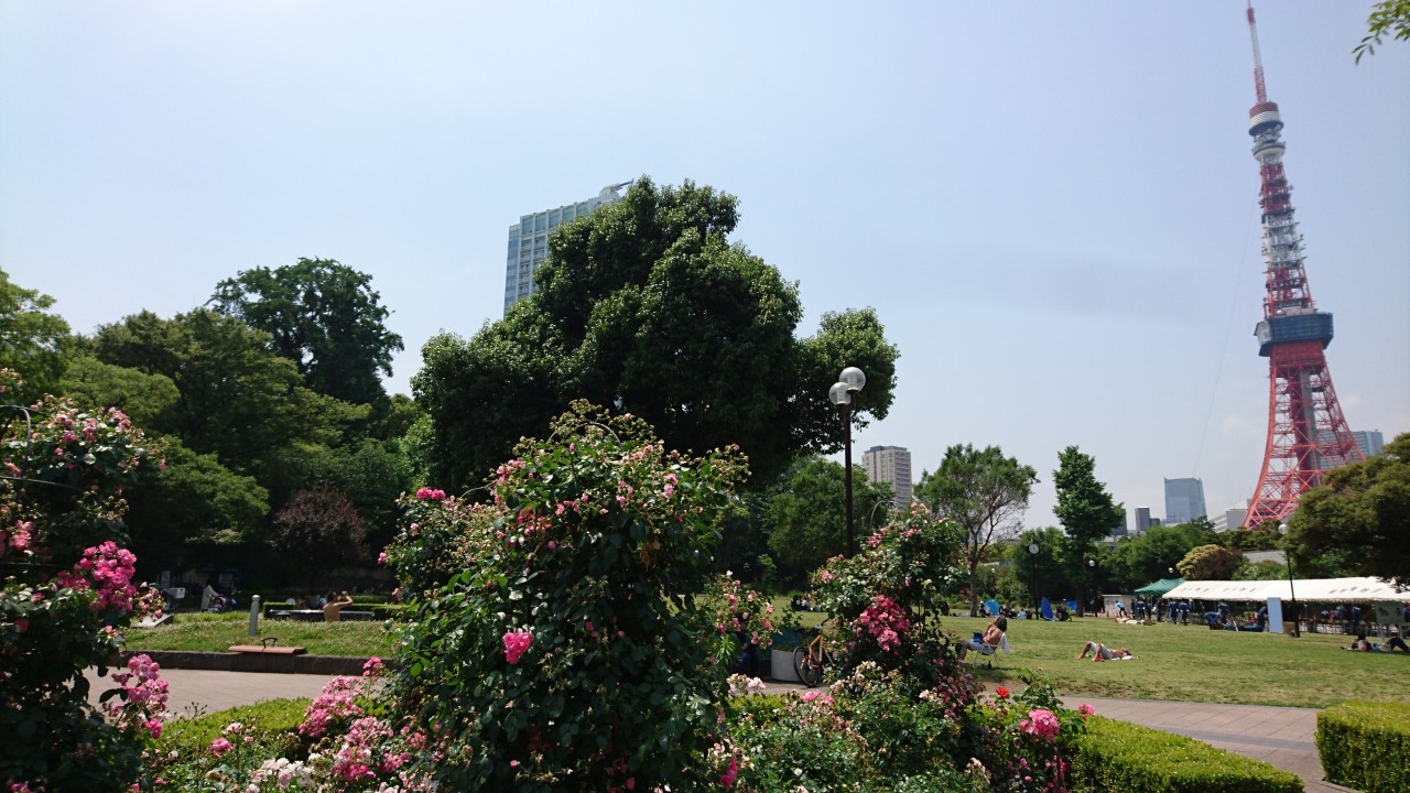 Shiba Park and Tokyo tower